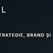Pluriel - consultanta independenta de strategie